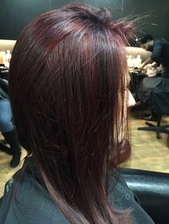Panel Colouring Dark Roots to Warm Tones